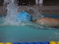 IMG_3232 (800x533)