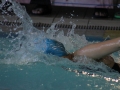 IMG_3239 (800x533)