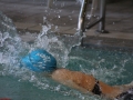 IMG_3241 (800x533)