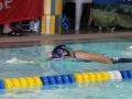 IMG_3262 (800x533)