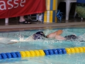 IMG_3263 (800x533)