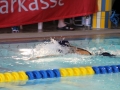 IMG_3264 (800x533)