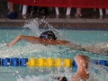 IMG_3270 (800x533)