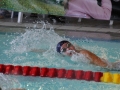 IMG_3273 (800x533)