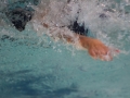 IMG_3276 (800x533)