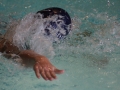 IMG_3277 (800x533)
