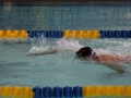 IMG_3286 (800x533)