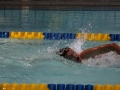 IMG_3287 (800x533)