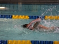IMG_3288 (800x533)
