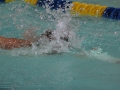IMG_3289 (800x533)