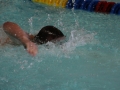 IMG_3290 (800x533)