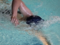 IMG_3293 (800x533)