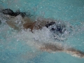 IMG_3294 (800x533)