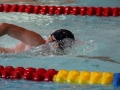 IMG_3297 (800x533)