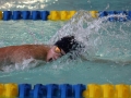 IMG_3300 (800x533)