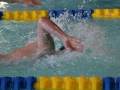 IMG_3301 (800x533)