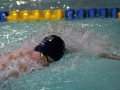 IMG_3302 (800x533)