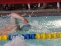IMG_3305 (800x533)