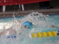 IMG_3306 (800x533)