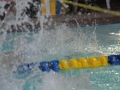 IMG_3308 (800x533)
