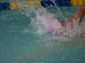 IMG_3319 (800x533)