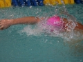 IMG_3320 (800x533)