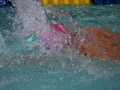 IMG_3322 (800x533)