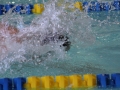 IMG_3325 (800x533)