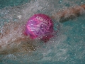IMG_3326 (800x533)