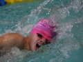 IMG_3327 (800x533)