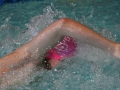 IMG_3328 (800x533)