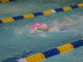 IMG_3335 (800x533)