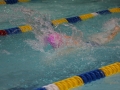 IMG_3336 (800x533)