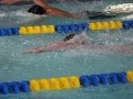 IMG_3337 (800x533)