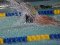 IMG_3338 (800x533)