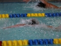 IMG_3340 (800x533)