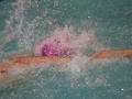 IMG_3342 (800x533)