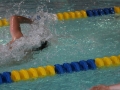 IMG_3343 (800x533)