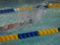 IMG_3344 (800x533)