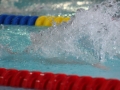 IMG_3355 (800x533)