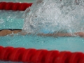 IMG_3357 (800x533)