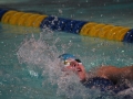 IMG_3359 (800x533)