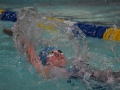 IMG_3361 (800x533)