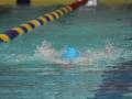 IMG_3368 (800x533)