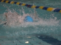 IMG_3380 (800x533)