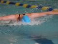 IMG_3382 (800x533)