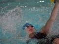 IMG_3383 (800x533)