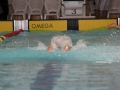 IMG_3400 (800x533)