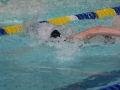 IMG_3430 (800x533)