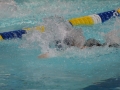 IMG_3431 (800x533)
